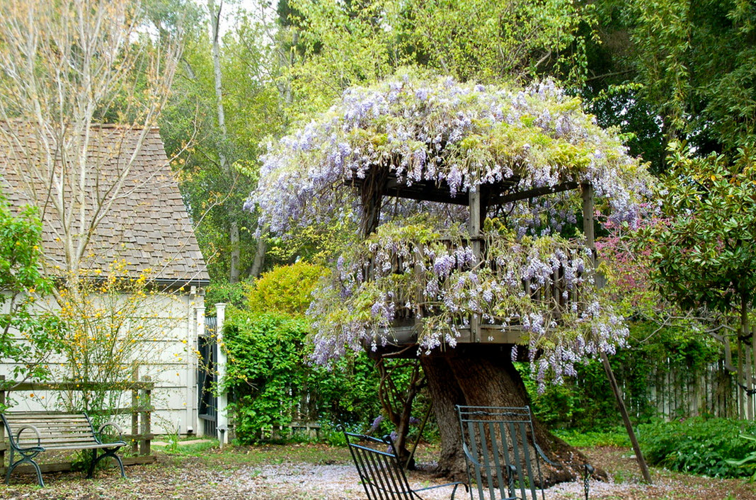 Casa na árvore em flores