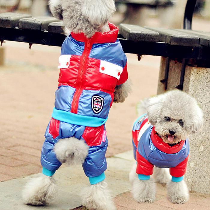 spustna jakna-za-psa-smučarska obleka-za pse