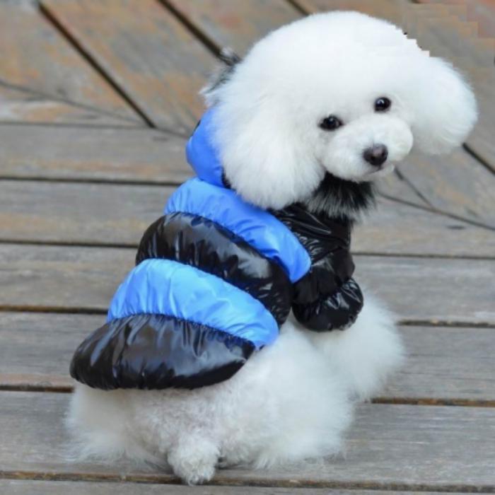 puffer-coat-for-dog-mantea-coquettish-in-two-colours