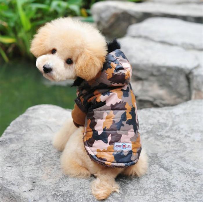 pulover-za-psa-plašč-kamoflaža-pasja oblačila