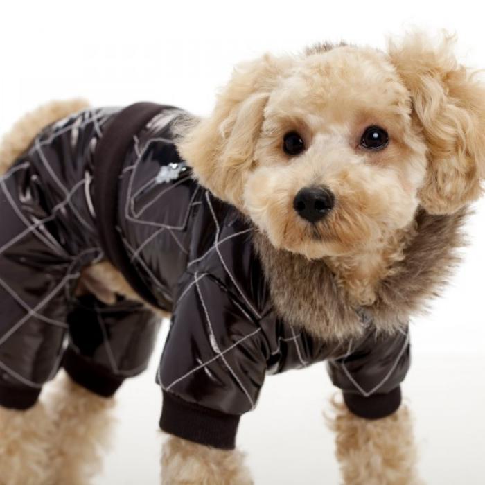 pulover za psa-plašč-črno-vodotesen