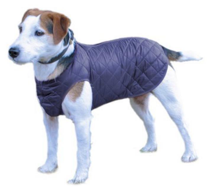 pulover za psa, prešit, modre barve