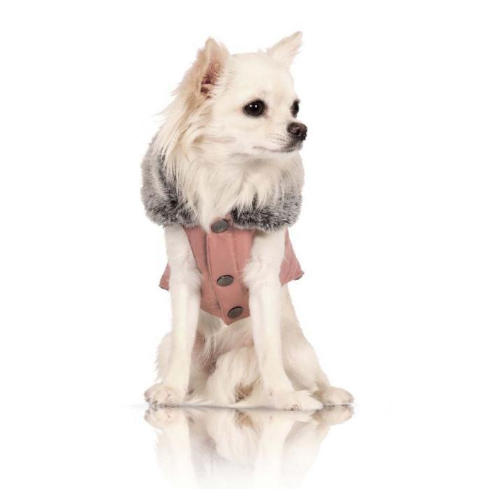 pulover-za-psa-malega-psa-bele-z-roza-in-sivo-puloverjem