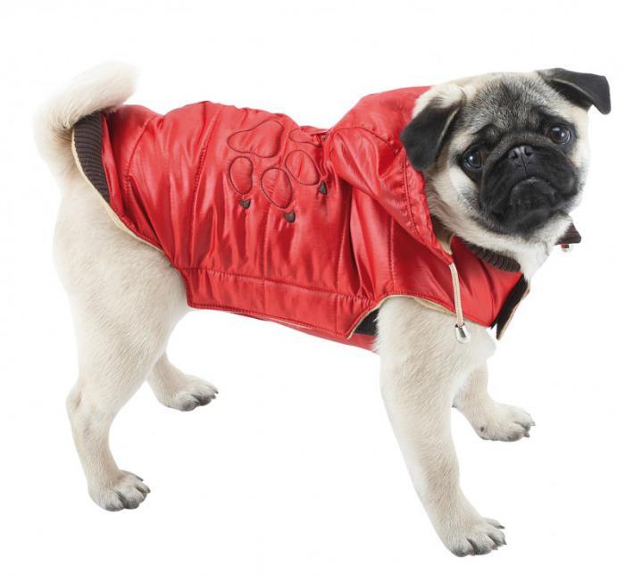 pulover-za-psa-rdeče-zimski-plašč-pes