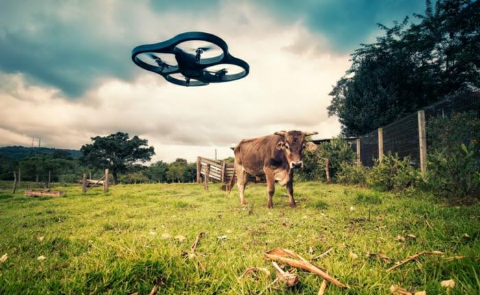 nuotoliniu būdu valdomas dronas-stilingas dronas kaime