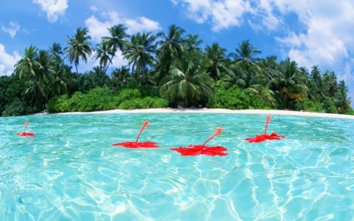 voda-morje-maldivi-zemljevid-kaj-početi-na-maldivih-narava-neverjetna-lepota