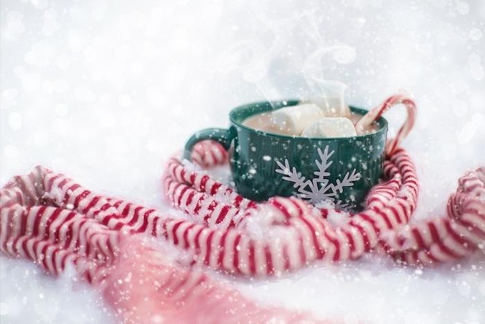 karšto šokolado ir zefyro zefyro gėrimo idėja, žalias puodelis, papuoštas balta sniego kolba, skara balta ir raudona, baltas fonas, sniego kolbų imitacija, kalėdiniai tapetai