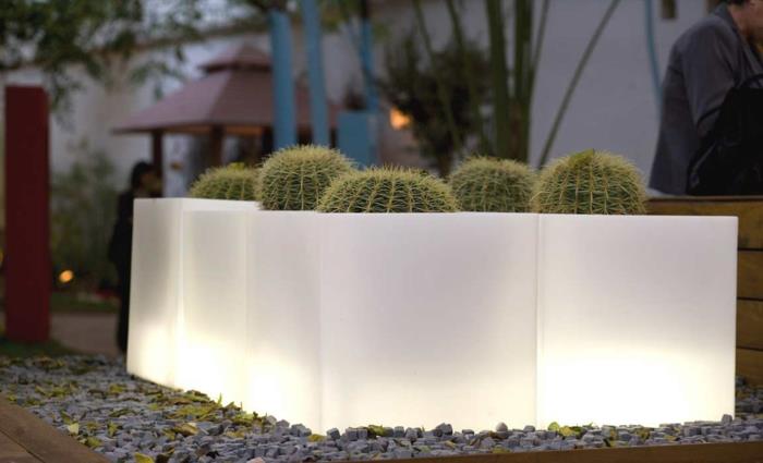 osvetljen kaktus-cvetlični lonec-vrtna razsvetljava