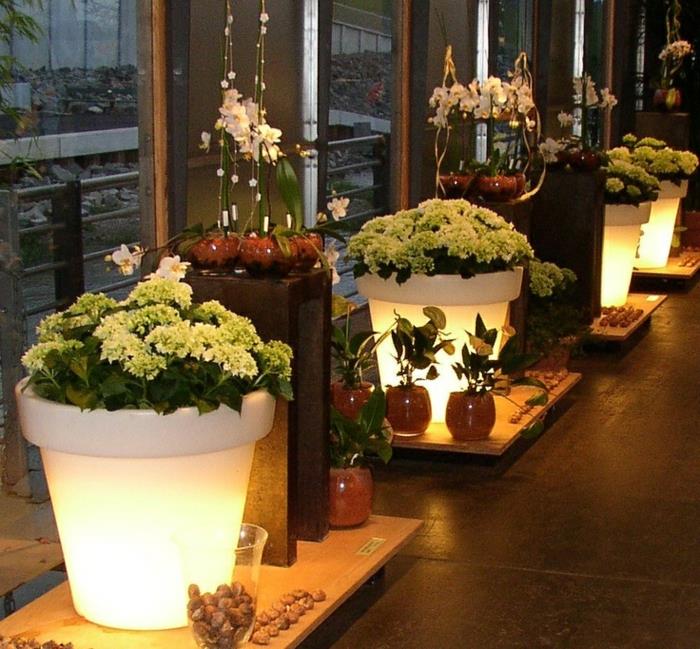 razsvetljava-vrt-cvetlični lonec-osvetljena-trgovina