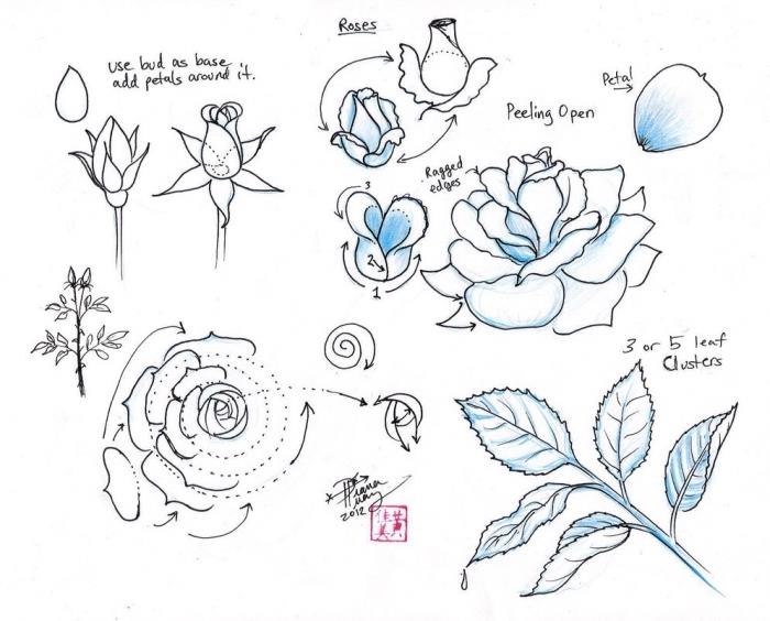 tehnike, s katerimi se naučite, kako preprosto narisati cvetlični, zaprt ali odprt model risbe vrtnice z belim in črnim svinčnikom