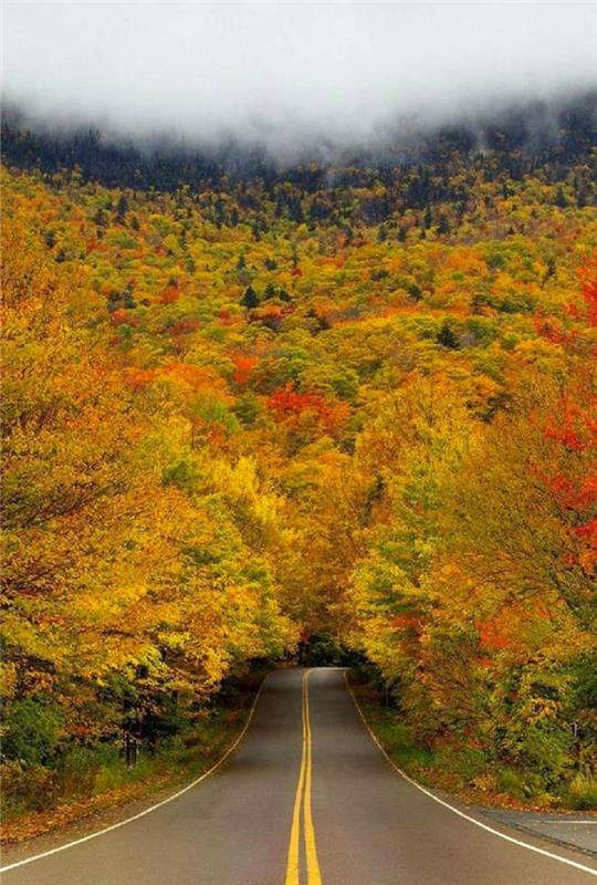 jesen-foto-slika-jesen-pokrajina-lepa-narava-cesta