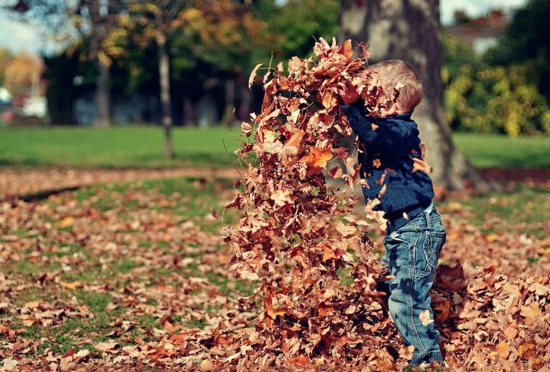 vaikas žaidžia rudens lapuose