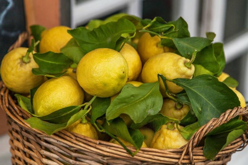 limonina nega limon v košarici