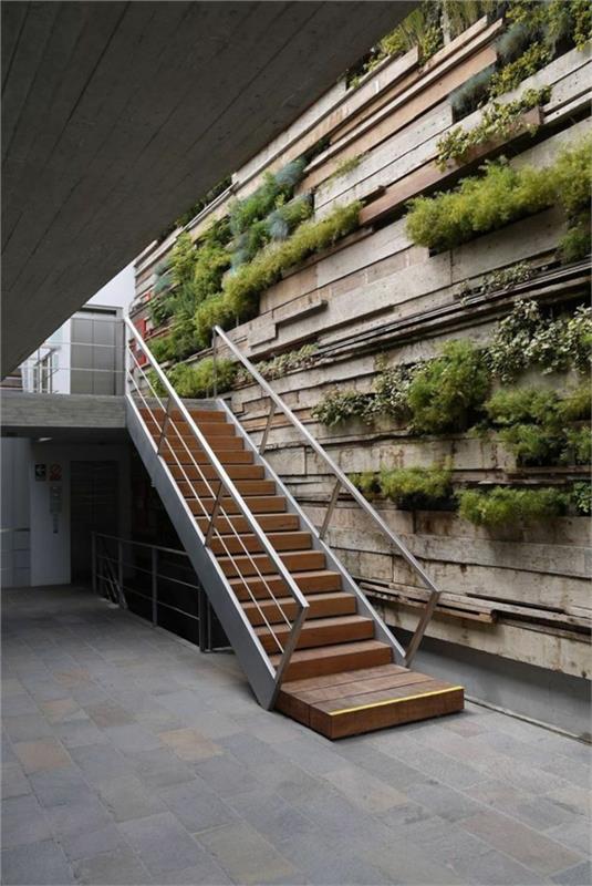 laiptai-žalieji augalai-ekologinė-architektūra