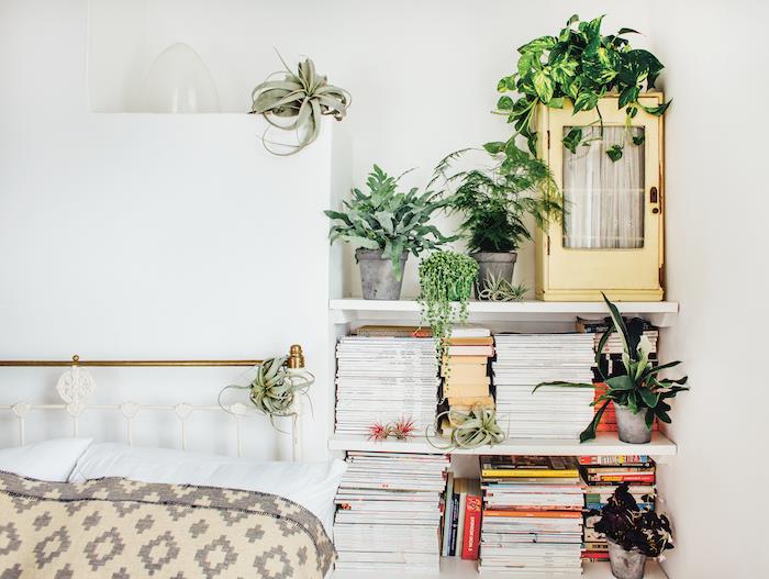 vrste sobnih rastlin in nočna omarica za knjige, obdana z več cvetličnimi lonci, sivo, bež in belo posteljnino