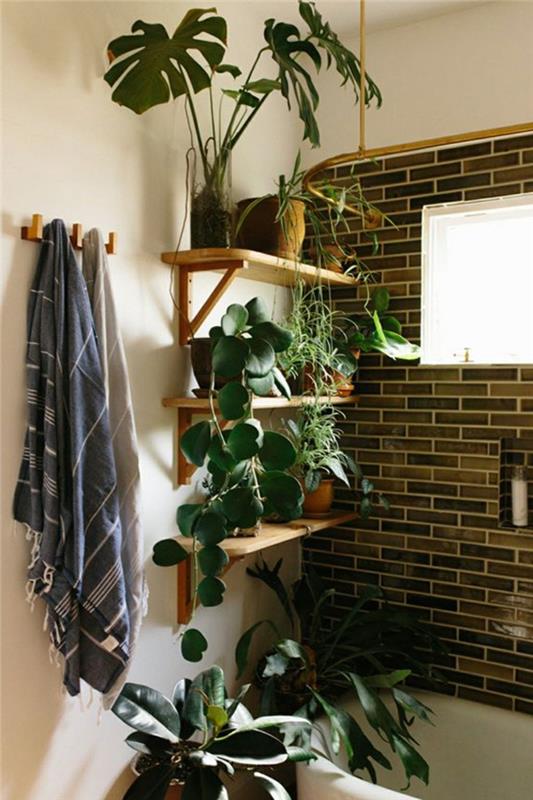 iç mekan bitkisi, iç mekan tırmanma tesisi, iç mekan bitkileri, ışıksız banyo bitkisi, banyo pinterest, beyaz küvet köşesi, koyu kahverengi ve açık kahverengi duvar karoları