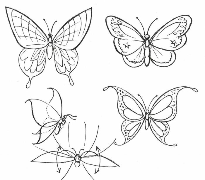 Paprasta drugelio piešimo idėja nuspalvinti, ką piešti šiandien, paprasti 3 tipų drugelių piešiniai