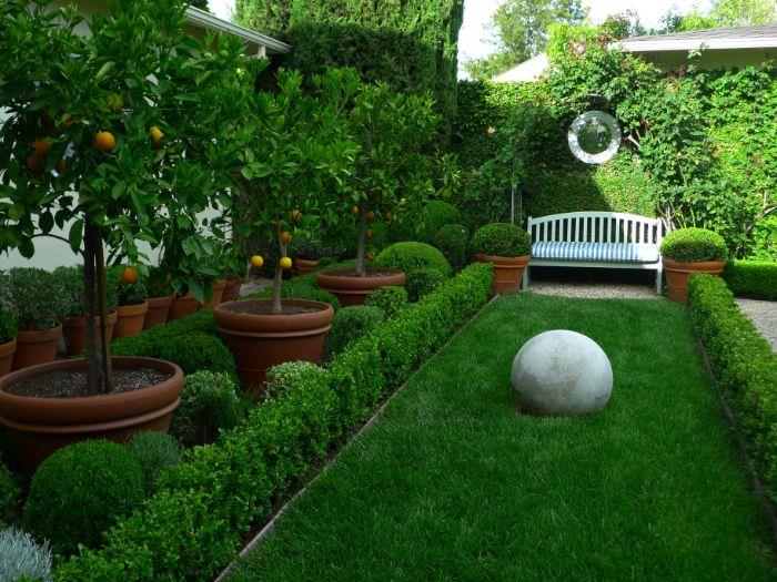 primer krajinskega urejanja zunanjega vrta s travnato leseno klopjo pušpana in dekoracijo stene z zeleno ograjo