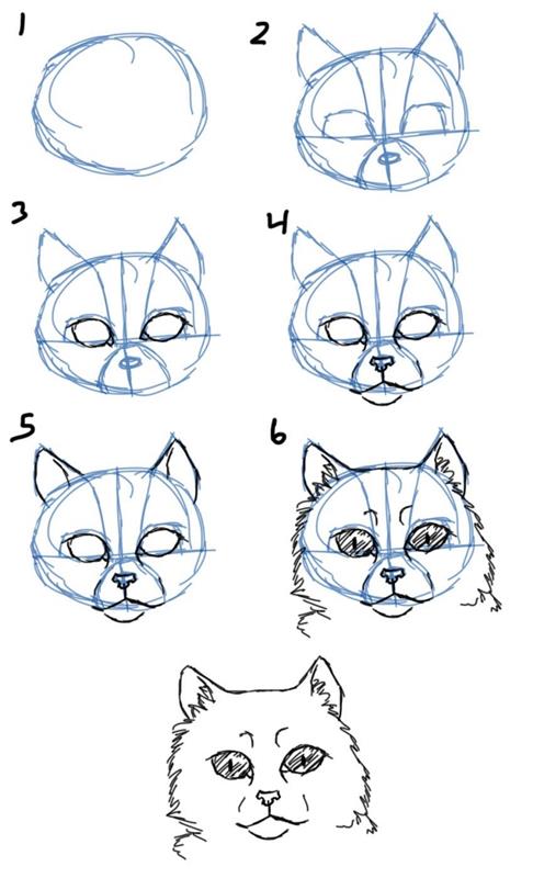 Kolayca bir kedi çizmeyi öğrenin, kılavuz çizgileri kullanarak bir kedinin yüzünü nasıl yapacağınızı öğrenmek için öğretici