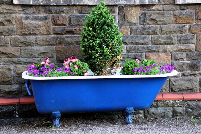 stara reciklirana mornarsko modra kad z rožami, velika zamisel o sadilniku, predelani in preoblikovani predmeti