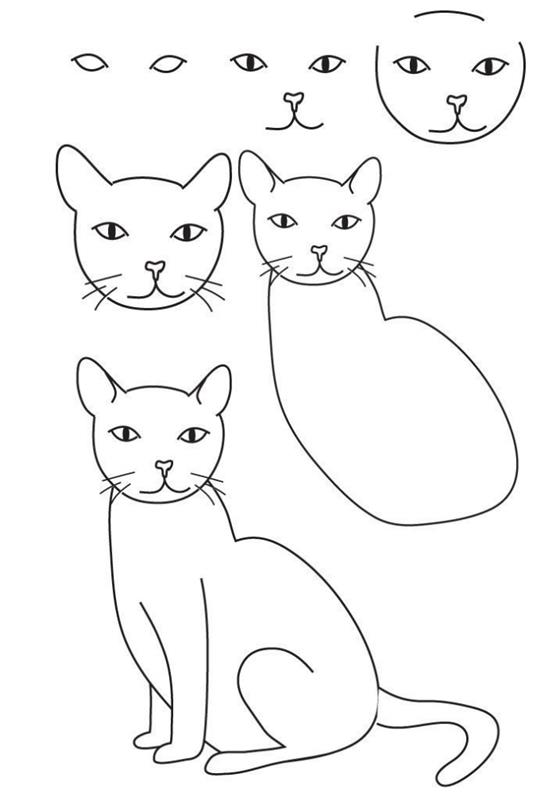 altı adımda kolay bir kedi nasıl çizilir, oturan bir kedi yapmak için vuruşlarla ve kavisli çizgilerle adım adım çizim