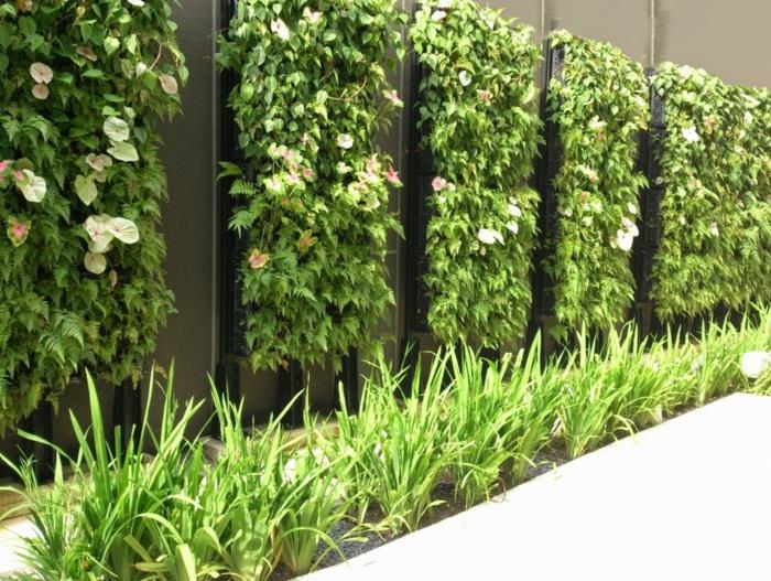 šešios šliaužiančių žalių augalų kolonos su kreminės spalvos gėlėmis, augalų pertvara, vertikalus sodas, žalia siena, horizontali žalios žolės kolona prieš vertikalias gėlių kolonas