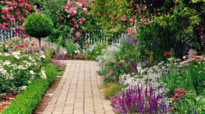 primer vrtnarjenja in krajinskega oblikovanja gredic na obeh straneh vrtne poti šimšir vrtnic v naravnem okolju