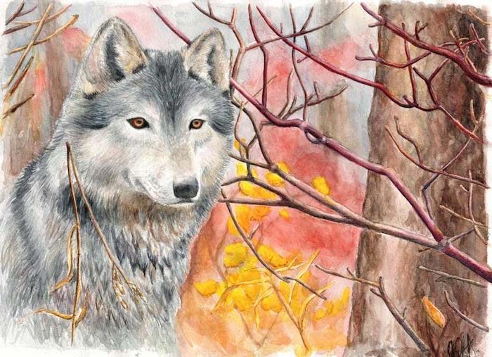 jesenska pokrajina volka v sivi, beli in rjavi akvarel na barvnem ozadju v rdeči in rumeni barvi