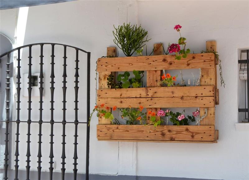 padėklų sėjamoji, vertikali augalinė siena, gėlių kompozicija, atsirėmusi į išorinę sieną, medinių padėklų deko