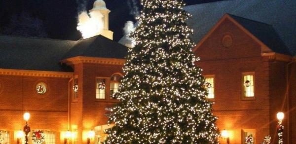 izjemno-velika-zunanja-božična drevesa-z-lučmi-dekoracijami-615x300-spremenjena velikost