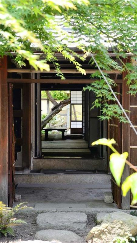 zunanje-japonske-hišne-zelene rastline