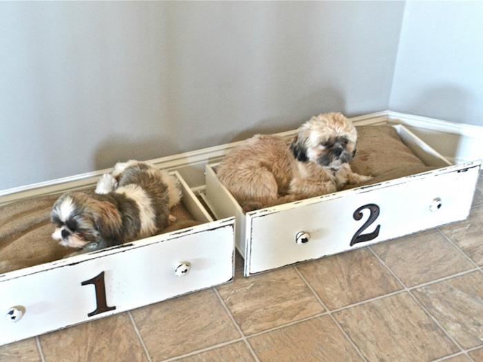küçük köpekler için uyuyan köpek kulübesi diy eski çekmeceler fikir brico