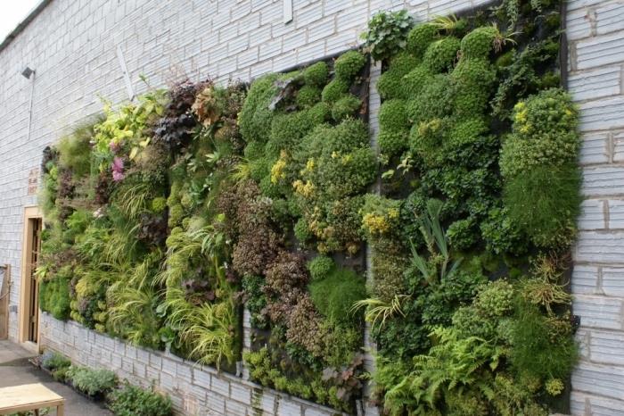 kako skriti in okrasiti grdo steno, bujno rastlinsko sliko z dekorativnim učinkom