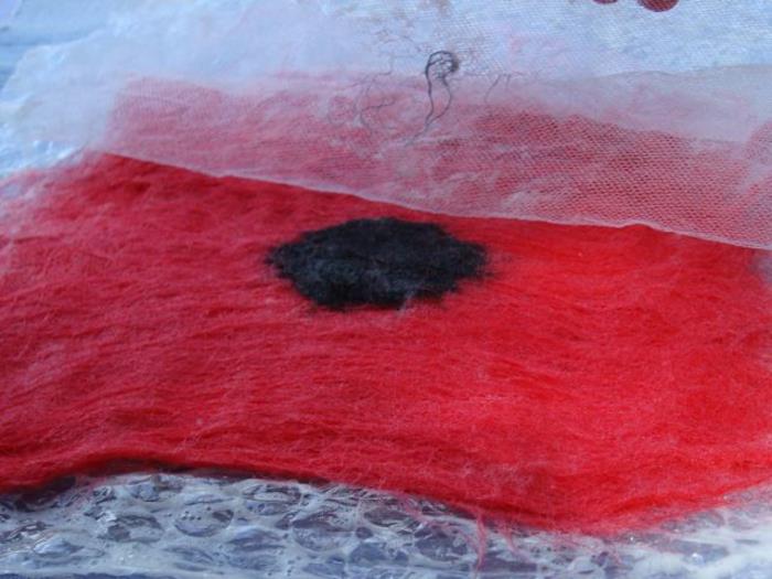 pasigaminkite aguonas, paskleiskite vilną tarp burbulinės plėvelės ir tinklo