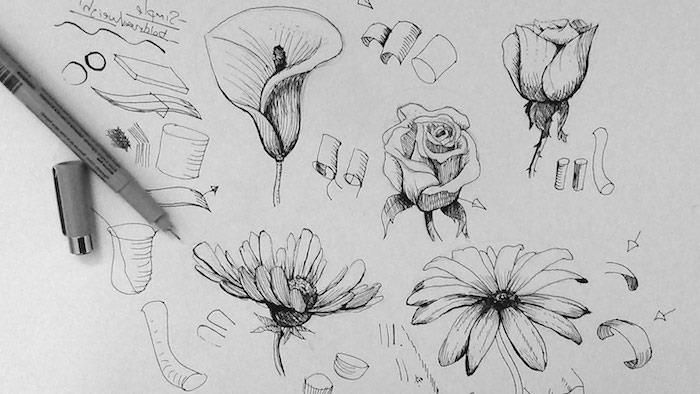 Skice rož Šopek cvetja Risanje Naučite se enostavno risati
