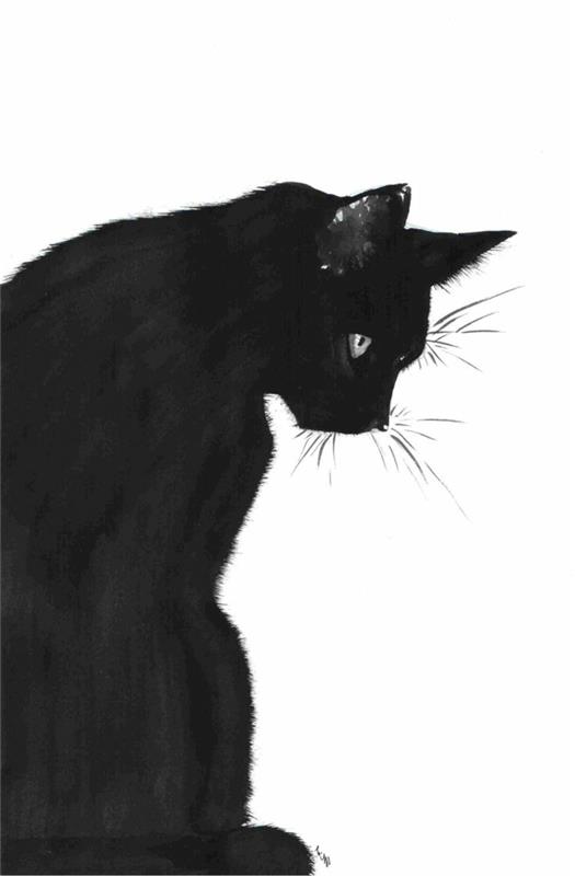 Fotoğraf çizimi filtre çizimi siyah beyaz yüz fotoğrafı çizimi oldukça havalı kara kedi çizimi iyi çizilmiş