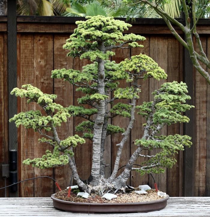 sahte ağaç bonsai yapay bitkisel plastik deco yapay bitki çiçekler yapay