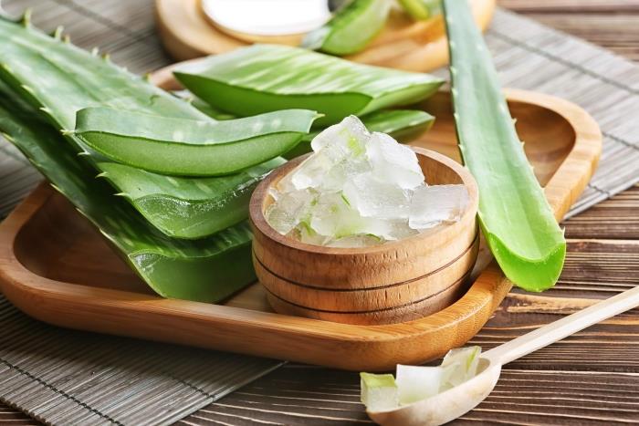 aloe vera yaprak kase bambu tepsi yaprak jel ekstraksiyon tesisi tıbbi kozmetik ürünler