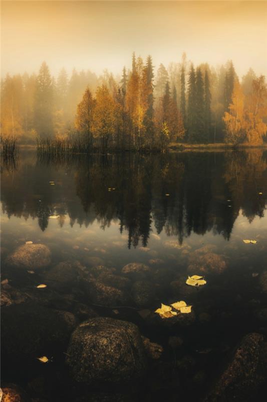 jesen-listi-lepa-krajinska-slika-lepa-jezerska drevesa-temna-pokrajina