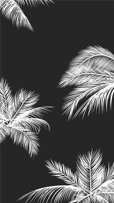 Enobarvno slikarsko umetnost, grafična črno -bela risba, ozadje za iPhone z belimi palmami na črnem ozadju