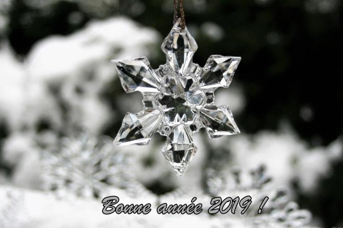 zimska fotografija z besedami srečno novo leto, fotografiranje ogrlice iz steklene snežinke, novoletna digitalna kartica