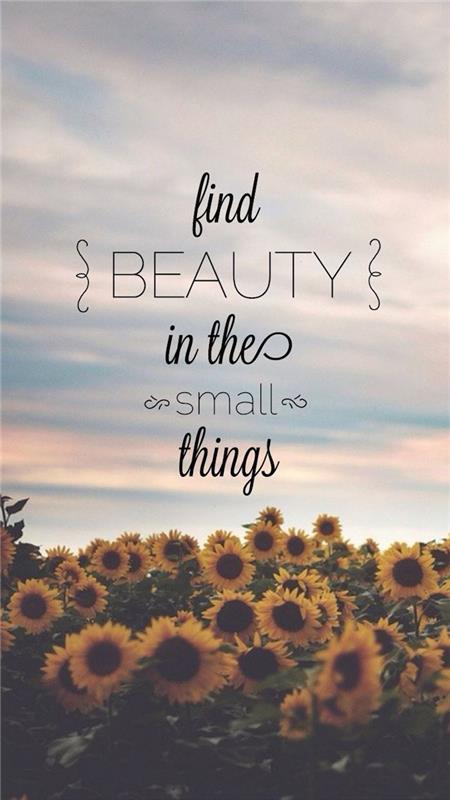 küçük şeylerde güzelliği bul, tumblr arka planları, ayçiçeği tarlası, mavi gökyüzü