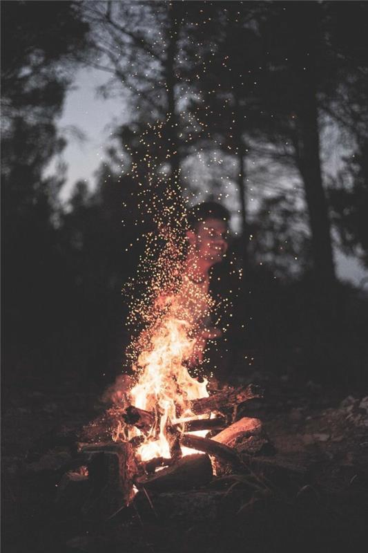 ateşin yanında oturan adam, ilham verici duvar kağıtları, uzun ağaçlar, gri gökyüzü