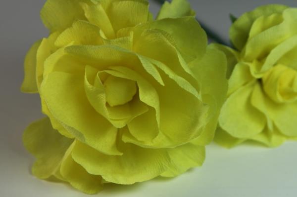 cvet-v-krepon-papirju-rumene-vrtnice-v bližini