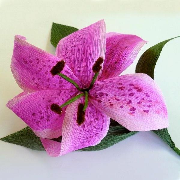 lepo-orhideja-krepon-papir-cvet