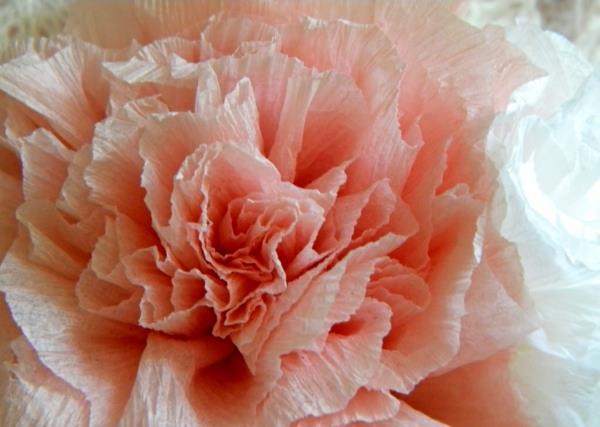 crepon-rosae-paper-flower-close-up