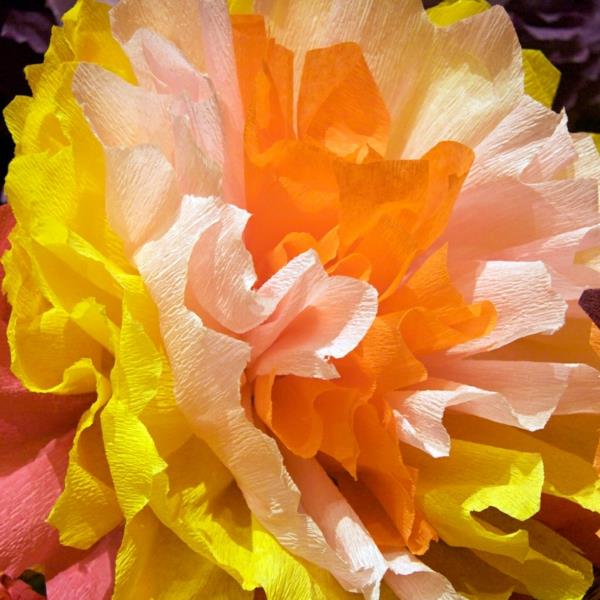 krepon-papir-cvet-4-barve