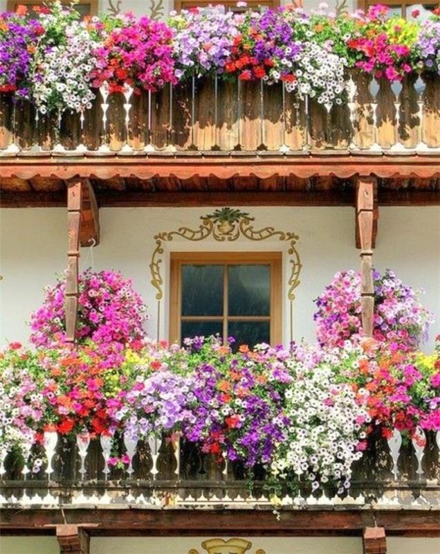 gėlės-balkonas-kraštovaizdis-balkonas-kaip-pražydinti-savo-balkoną-daug gėlių