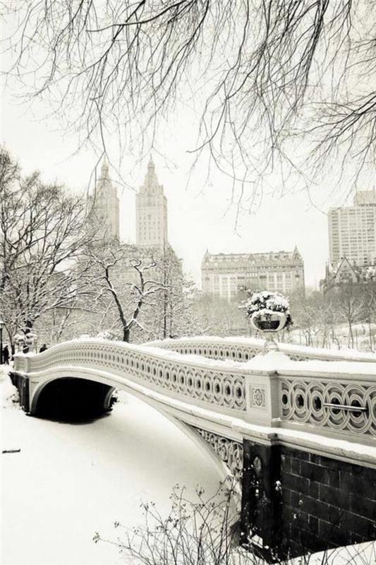 dağ-duvar kağıdı-dağ-fotoğrafları-parlak-dağ-güzelliği-new-york-central-park