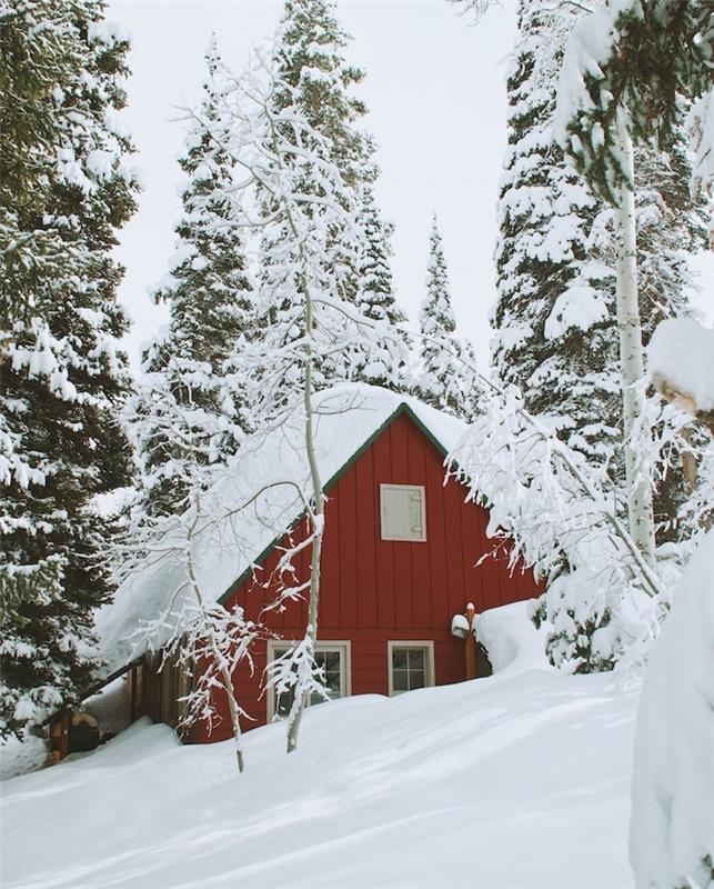 žiemos kraštovaizdžio tapetai su kajutės namu, palaidotu sniege, spygliuočiais medžiais, apsnigtomis eglėmis
